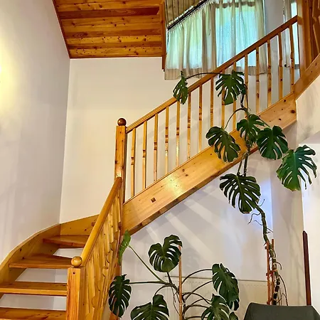 Apartment Casa Edelweiss Sinaia